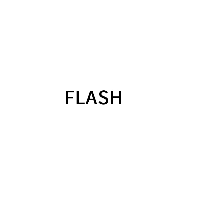 플래쉬(Flash)