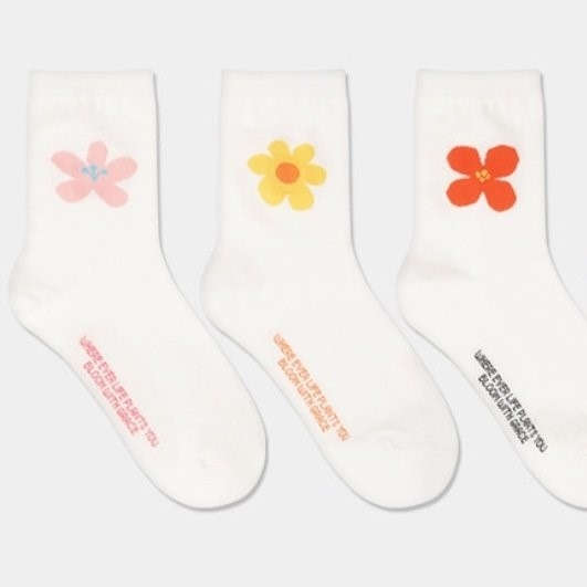 Iroiro Flower Socks